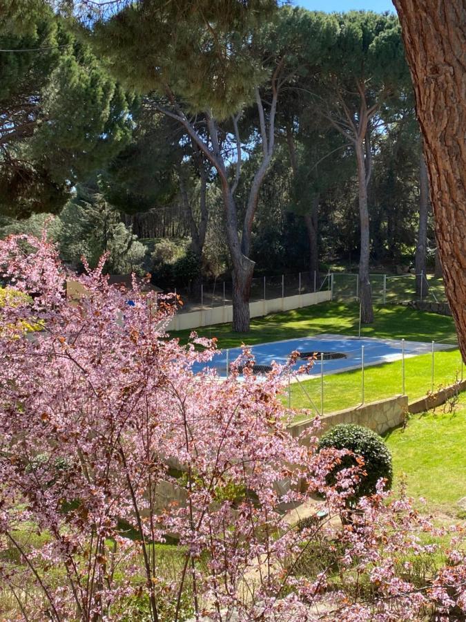 Apt Romantico Con Chimenea Con Fibra Optica Y Terraza San Martín de Valdeiglesias Zewnętrze zdjęcie